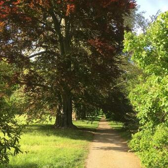 Apartamento A&c Bergen