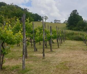 Bed & Breakfast C� Rosanna