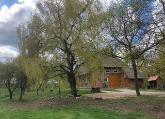 Apartamento Deichkind - Reetdachhaus Direkt Am Elbdeich