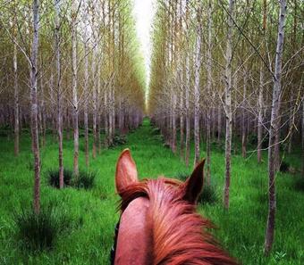 Apartamento Toad Hall, Self Catering, Sleeps Four