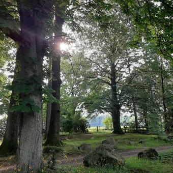 Posada Pension Im Rehwinkel