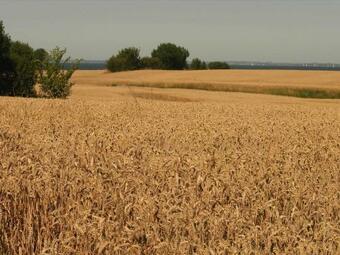 Gemuetliches Blockhaus