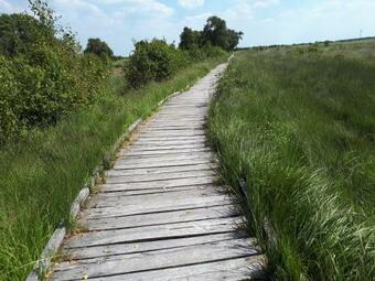 Apartamento Preisbewusste Ferienwohnung F�r 2 Personen U. Kleinkind