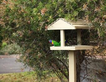 Apartamentos Edgewater Terraces At Metung