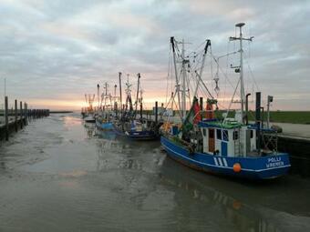 Apartamento Ferienwohnnung Kathrin