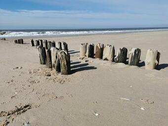 Ver fotos