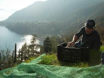 Casa Indipendente "il Sole Delle Grigne"