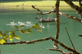 Ferienhaus F�rsterlisl