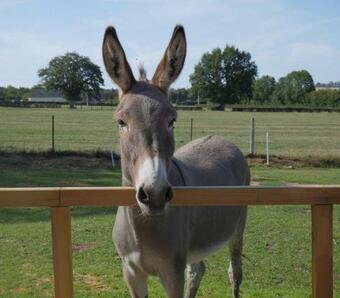 Le Petit Gite O Pr�