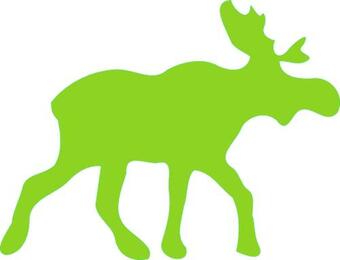 Apartamento Ferienappartement Gr�ner Elch