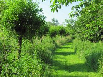 G�stezimmer Im Engelshof, 61224