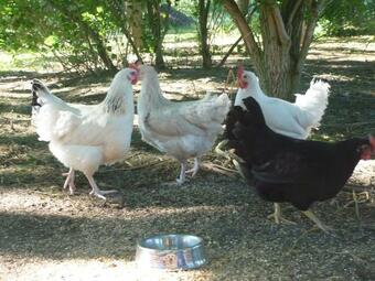 Apartamento Ferienhaus Gro� Popkenhausen