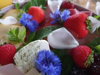 Bed & Breakfast Pension Grandel