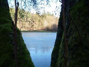 Apartamento Ferienhaus Auszeit