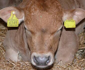 Apartamento Ban Hofa