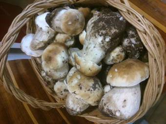 Bungalows Granja Escuela Arlanz�n