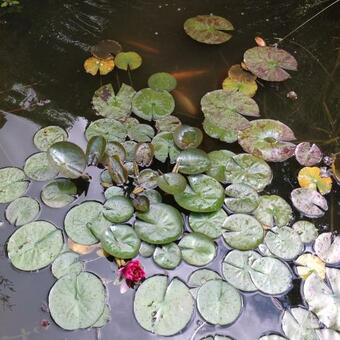 Bed & Breakfast L'h�me Du Monde