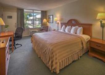 Hotel Quality Inn & Suites Georgetown