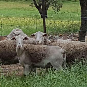 Valley View Cottage In The Picturesque Avon Valley