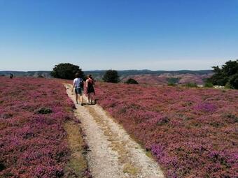 Le Gite De Faug�res