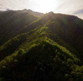 Bed And Breakfast Iduevagamondi