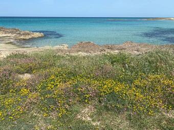 Bed & Breakfast Trulli Tesoro