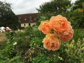 G�te Saint-jouin-de-blavou, 5 Pi�ces, 8 Personnes - Fr-1-497-38