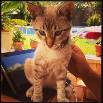 Bed & Breakfast At Home In Malaga