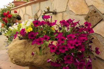 Bed & Breakfast La Casa Di Bia