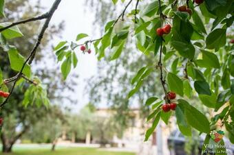 Apartamento Villa Helvetia