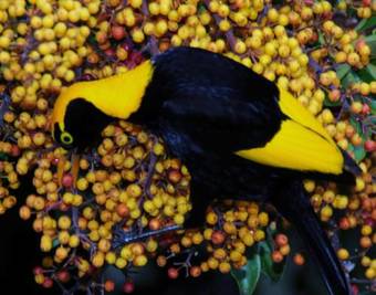 Bed & Breakfast Yarrahapinni Homestead