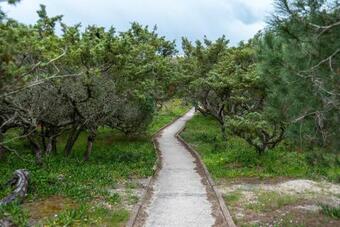 Apartamento Villa Margherita