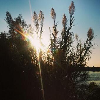 Hostal Oasi Di Arcadia