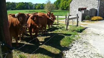 Maison De 2 Chambres Avec Jardin Amenage Et Wifi A Questembert