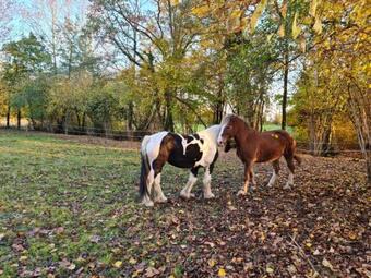 Apartamento Bike And Wine