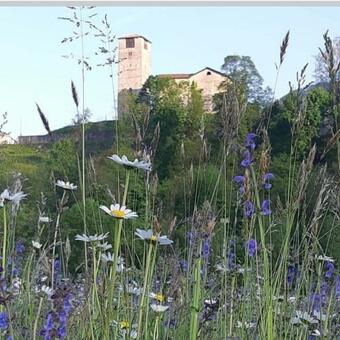 Apartamento Via Mezzaterra 10