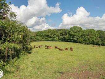 Apartamento G�te Virlet, 2 Pi�ces, 3 Personnes - Fr-1-630-270