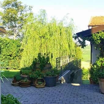 Bed & Breakfast La Terrazza Sui Vigneti-rovescala