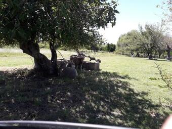 Apartamento La Posta