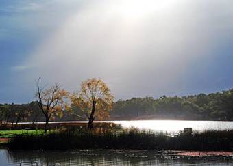 Big4 Renmark Riverfront Holiday Park