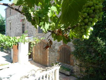 Hostal Tur� De La Torre