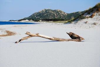 Apartamento Villa Delia