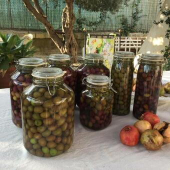 Bed & Breakfast Casa Khalesa