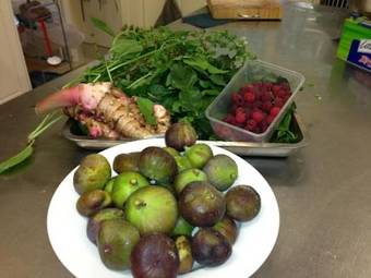 Villa Spring Creek Mountain Cafe & Cottages