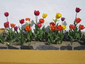 Hostal Palacio Viejo De Las Corchuelas