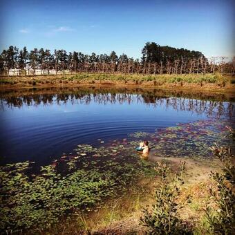 Agroturismo Moortop Cottages