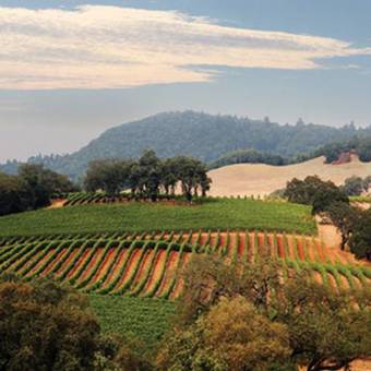 Apartamentos Worldmark Windsor