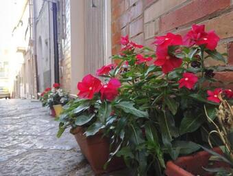 B&B La Sunnella