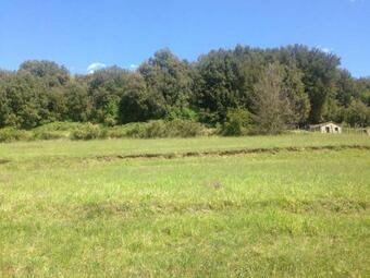 Apartment In Varese Ligure 36603