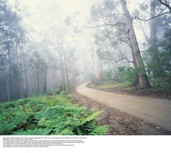 Apartamentos The Beach Retreat Eden